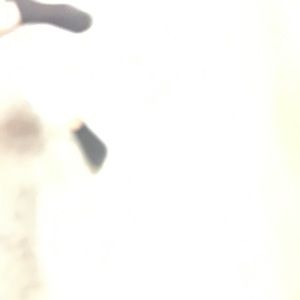 Meet your Posher, Yadira